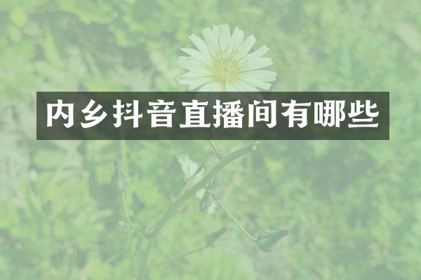 内乡抖音直播间有哪些