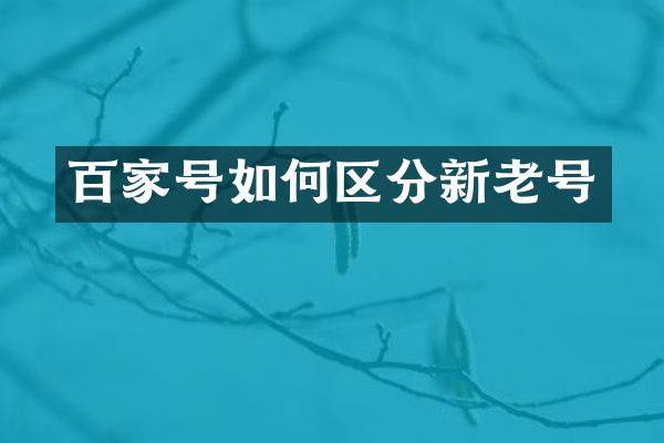 百家号如何区分新老号