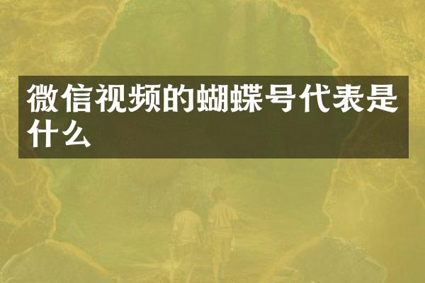 微信视频的蝴蝶号代表是什么