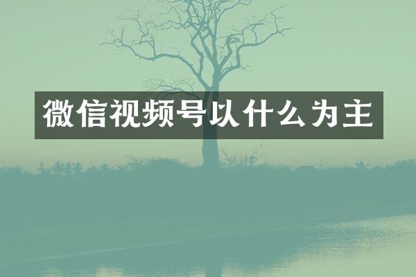 微信视频号以什么为主