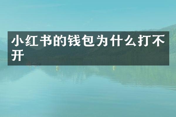 小红书的钱包为什么打不开
