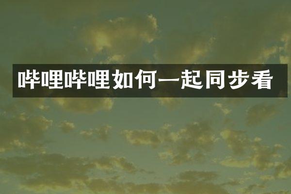 哔哩哔哩如何一起同步看
