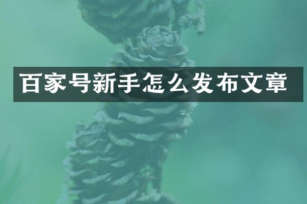 百家号新手怎么发布文章