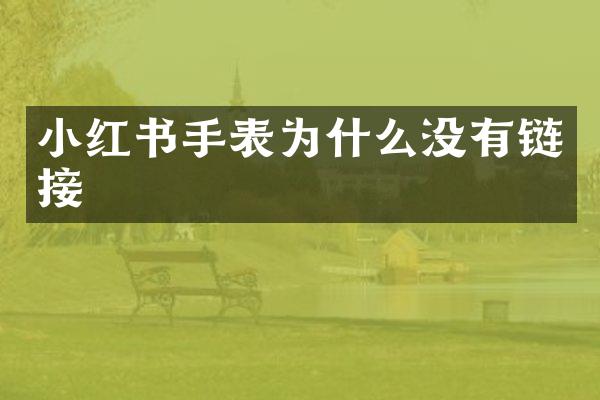 小红书手表为什么没有链接
