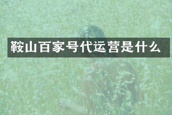 鞍山百家号是什么