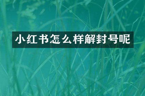 小红书怎么样解封号呢