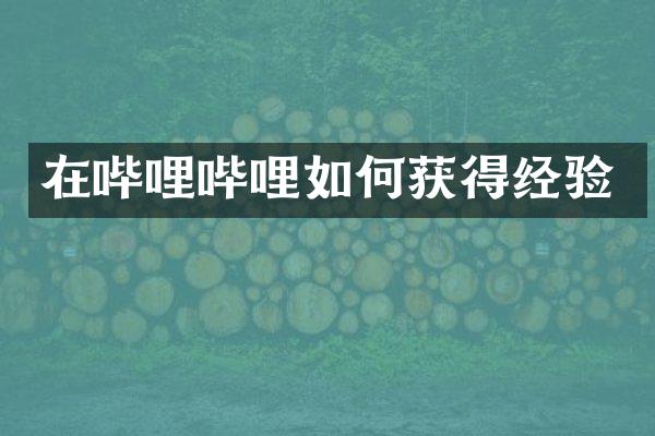 在哔哩哔哩如何获得经验