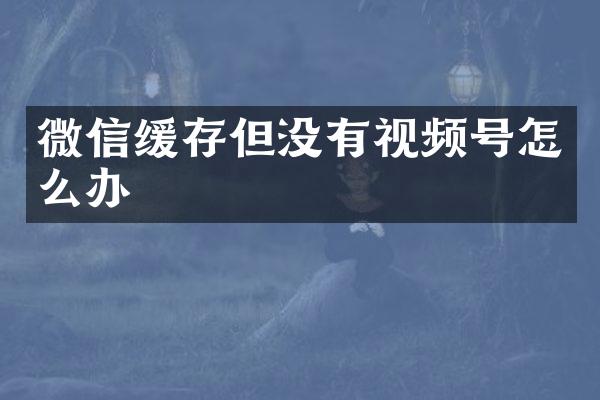 微信缓存但没有视频号怎么办