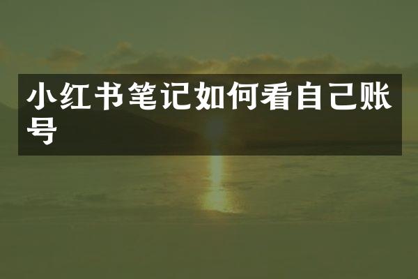 小红书笔记如何看自己账号