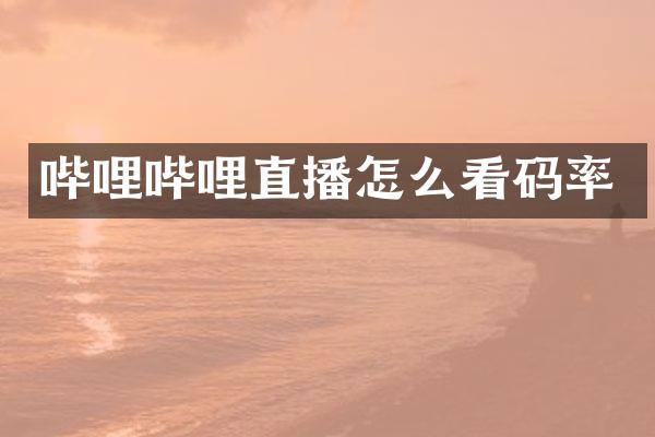 哔哩哔哩直播怎么看码率