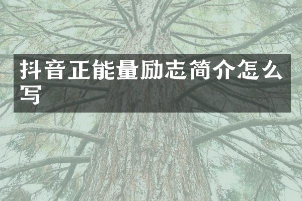 抖音正能量励志简介怎么写