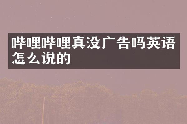 哔哩哔哩真没广告吗英语怎么说的