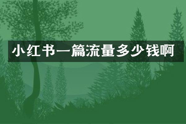 小红书一篇流量多少钱啊