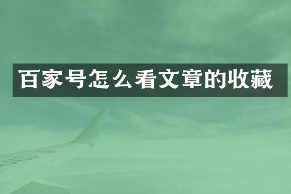 百家号怎么看文章的收藏