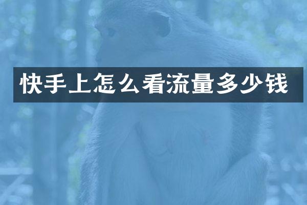 快手上怎么看流量多少钱