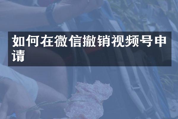 如何在微信撤销视频号申请