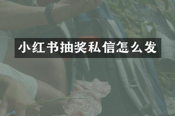 小红书抽奖私信怎么发