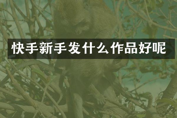 快手新手发什么作品好呢