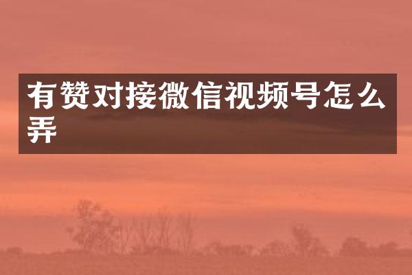 有赞对接微信视频号怎么弄
