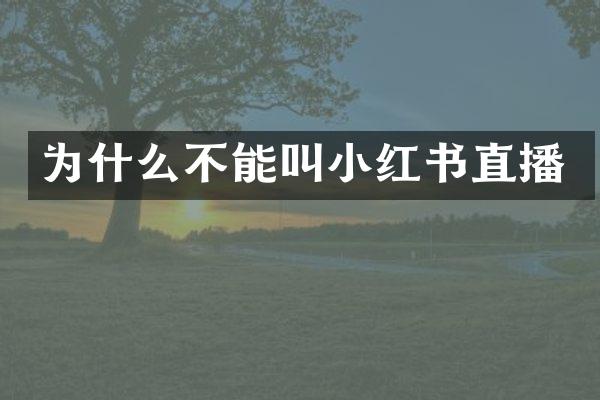 为什么不能叫小红书直播