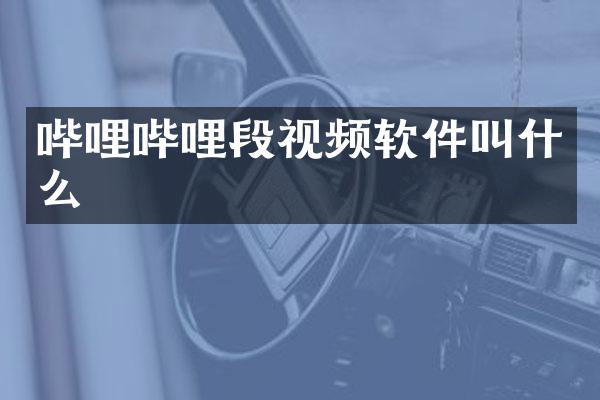 哔哩哔哩段视频软件叫什么