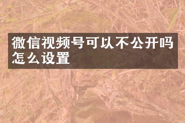 微信视频号可以不公开吗怎么设置