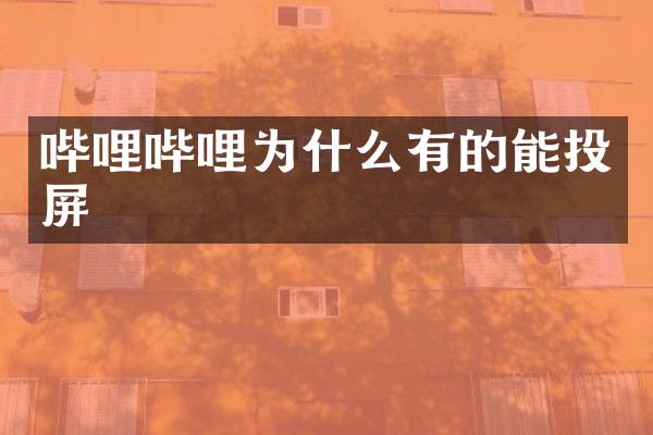 哔哩哔哩为什么有的能投屏