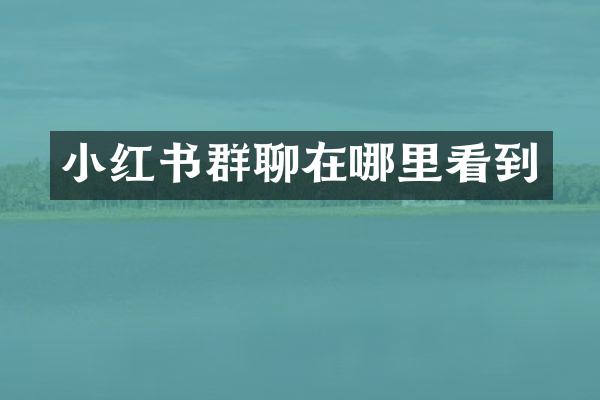 小红书群聊在哪里看到
