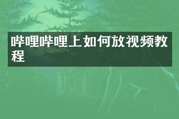 哔哩哔哩上如何放视频教程