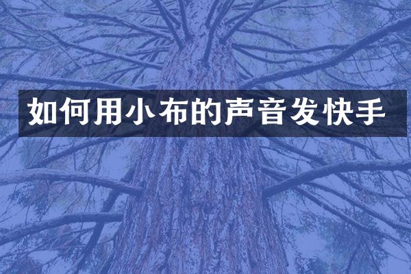 如何用小布的声音发快手