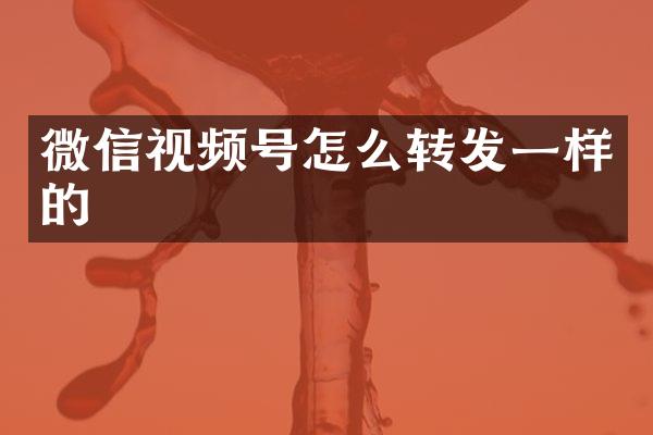 微信视频号怎么转发一样的