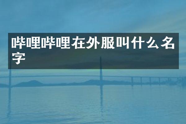 哔哩哔哩在外服叫什么名字