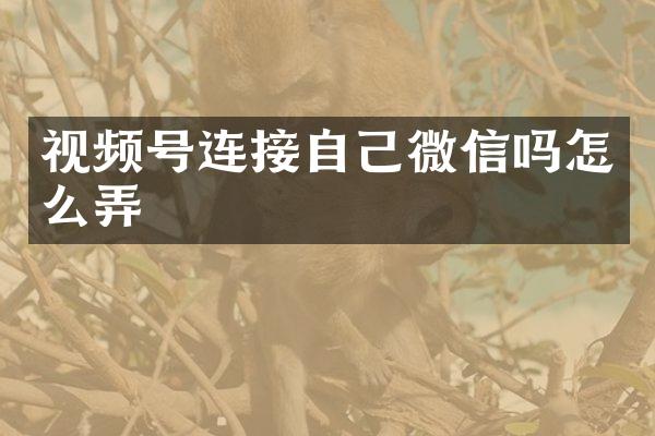 视频号连接自己微信吗怎么弄
