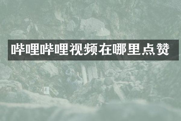 哔哩哔哩视频在哪里点赞