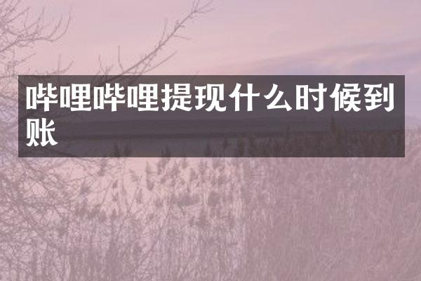 哔哩哔哩提现什么时候到账