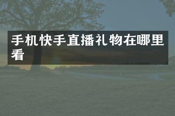 手机快手直播礼物在哪里看