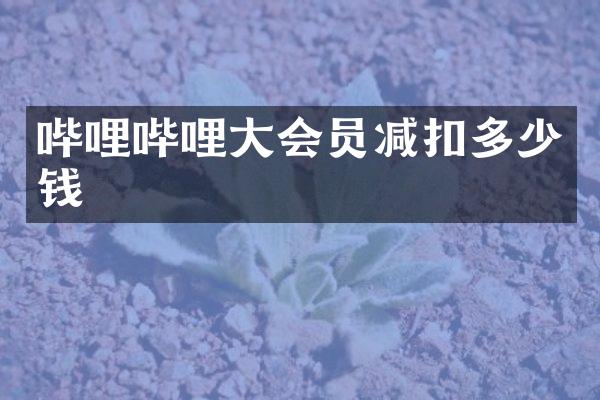 哔哩哔哩大会员减扣多少钱