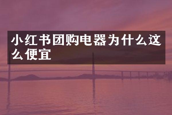 小红书团购电器为什么这么便宜