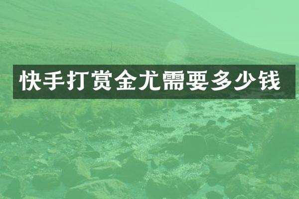 快手打赏金尤需要多少钱