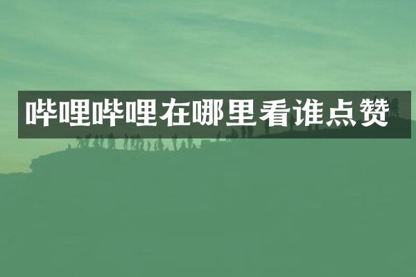 哔哩哔哩在哪里看谁点赞