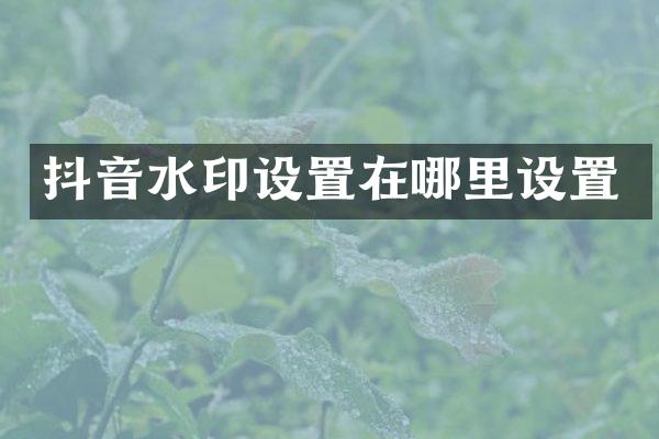 抖音水印设置在哪里设置