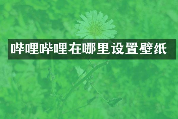 哔哩哔哩在哪里设置壁纸