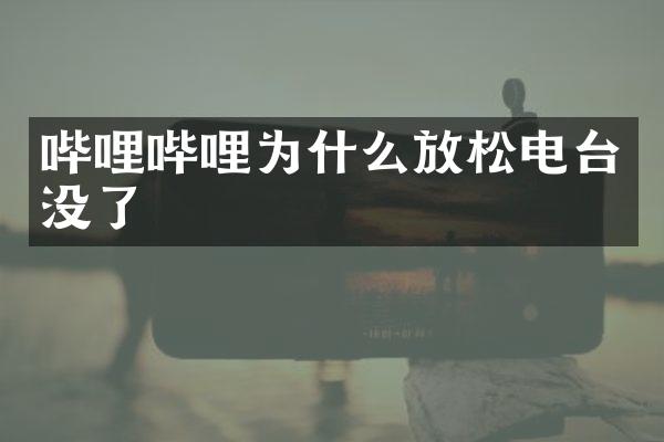 哔哩哔哩为什么放松电台没了
