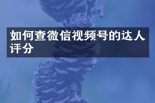 如何查微信视频号的达人评分