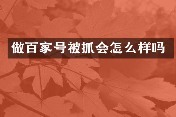 做百家号被抓会怎么样吗