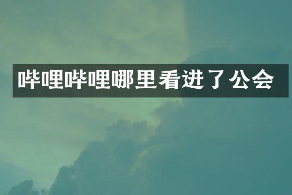 哔哩哔哩哪里看进了公会