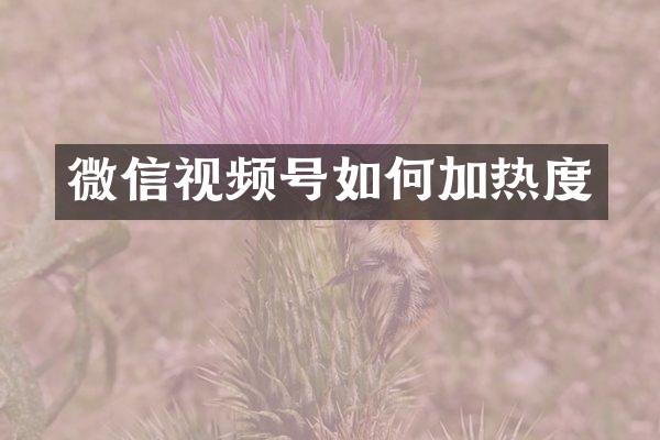 微信视频号如何加热度