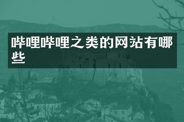 哔哩哔哩之类的网站有哪些
