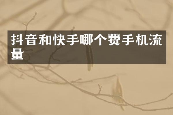 抖音和快手哪个费手机流量