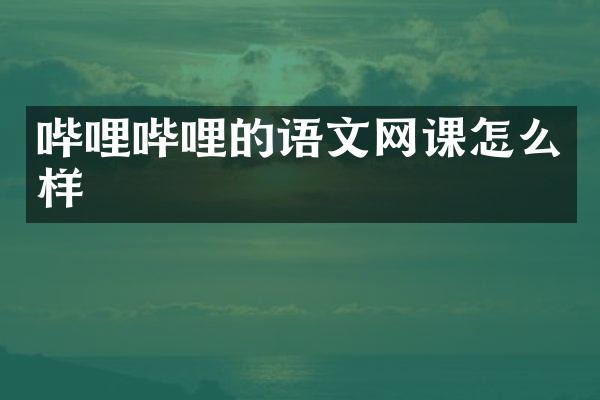 哔哩哔哩的语文网课怎么样